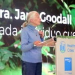 Jane Godall Healthy Cities